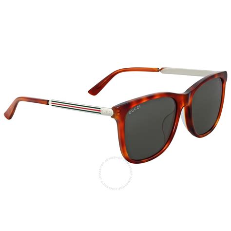 gucci light havana square sunglasses gg0078sk 005 56 889652051956 sunglasses jomashop