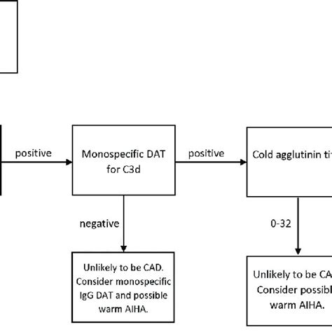 Lab Workup For Suspected Cold Agglutinin Disease Cad Cold