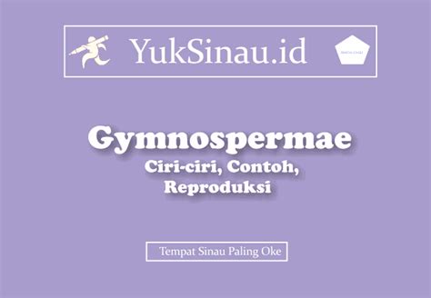 Gymnospermae Ciri Ciri Contoh Reproduksi Yuksinau Id