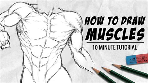 How To Draw Muscles In Minutes Sixpack Arms And Chest Drawlikeasir In How To Draw