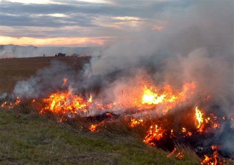 Wildfires Can Impact Grasslands — Extension And Ag Research News