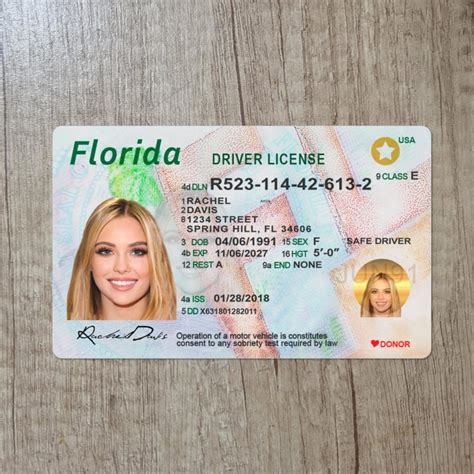 Premium Florida Driver License Template