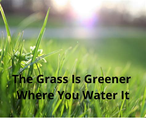 The Grass Is Greener Where You Water It Dinks Finance