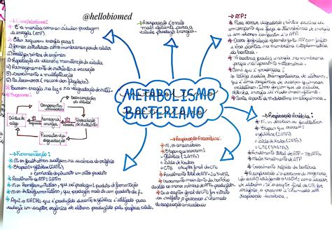 Mapa Mental Sobre Metabolismo Maps4study