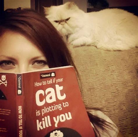 Promotional poster for a love to kill. Cat That Is Secretly Plotting To Kill You | Bored Panda