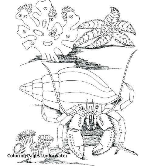 May 10, 2020 · colouring can be such a relaxing activity for both kids and adults especially during times of stress. Sea World Coloring Pages at GetColorings.com | Free ...