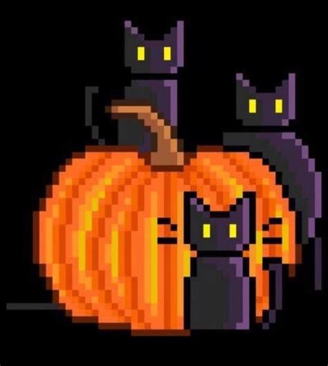 Black Cat Fall And Halloween Afbeelding Halloween Profile Pics