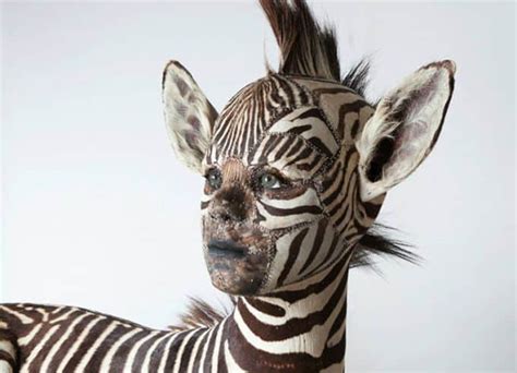 Animal Taxidermy With Human Faces This Activist Is Going Far To Prove