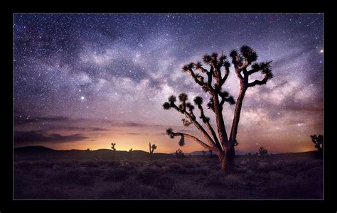 2012 © Marc Adamus Desert Photography California National Parks
