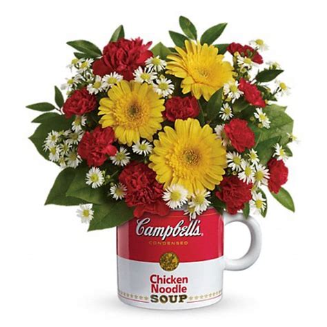Campbells Healthy Wishes By Teleflora In Dallas Tx All Occasions
