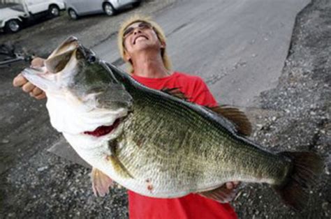 The Biggest Bass Ever Caught What Is The World Record Premier Angler