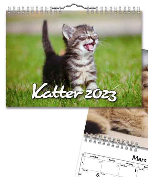Vaggkalender Katter Small 2023web Köp Almanacka Online