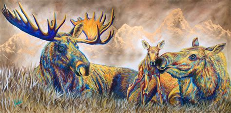 Moose Meadows Fine Art Prints • Collection Teshiaart