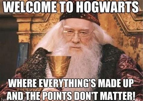 50 Harry Potter Memes That Will Always Make You Laugh