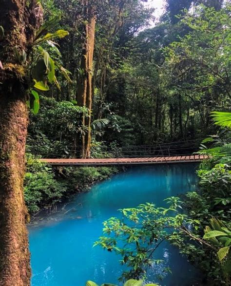 Rio Celeste Waterfall And Tenorio Volcano National Park Guide In 2020