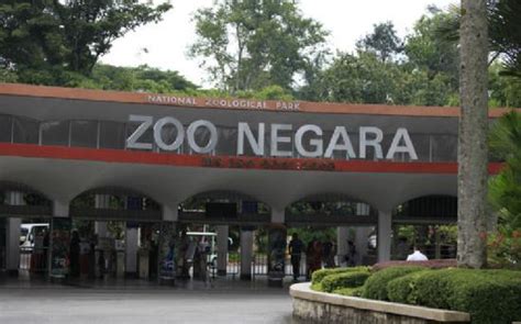 Astonishing kuala lumpur and genting highlands tour. Zoo Negara - Picture of Zoo Negara, Ampang - TripAdvisor