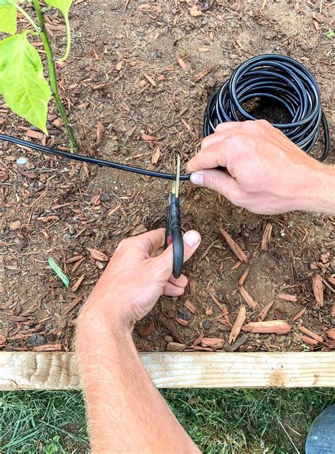The vegetable drip irrigation system solves the dragging of hose, saves time and money. How to install a DIY drip irrigation system in raised ...
