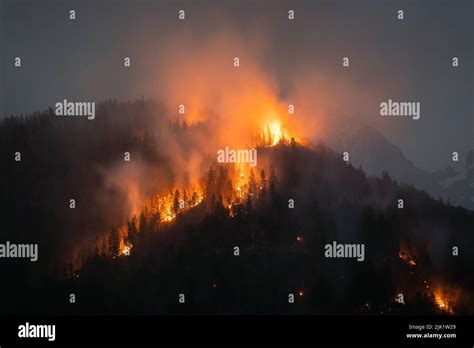 Forest Wildfire At Night A Natural Disaster Stock Photo Alamy