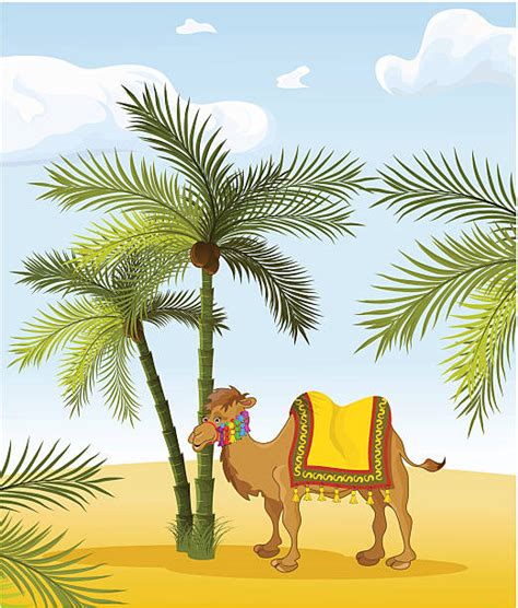 Best Desert Oasis Illustrations Royalty Free Vector