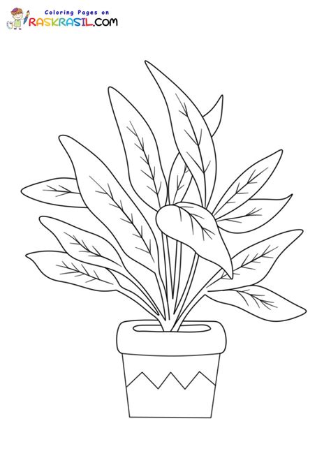 Dibujos De Plantas Para Colorear