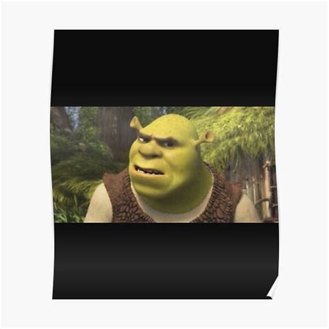 Poster Shrek Wot Meme Par Kikimorafasbn Redbubble