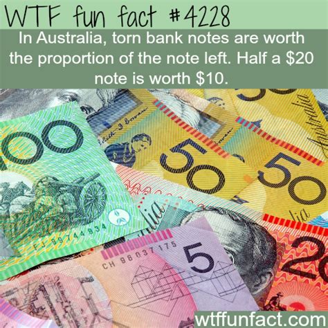Torn Australian Currency Wtf Fun Facts