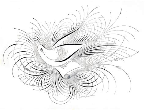 Free Antique Clip Art Calligraphy Bird Flourishes