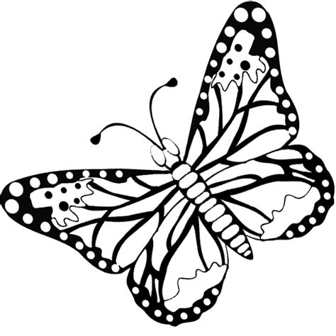 Dibujos de MARIPOSAS (Para Colorear y Pintar)