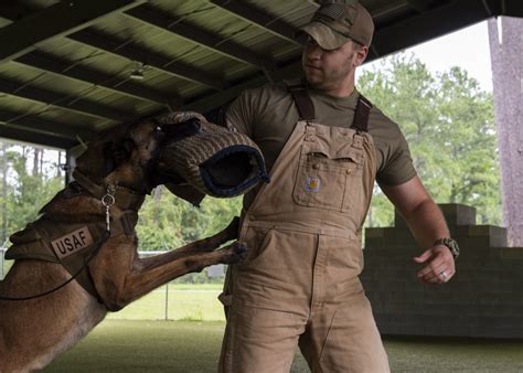 Dvids Images K 9 Handler Achieves Dream Expands Mwd Knowledge Image 3 Of 7