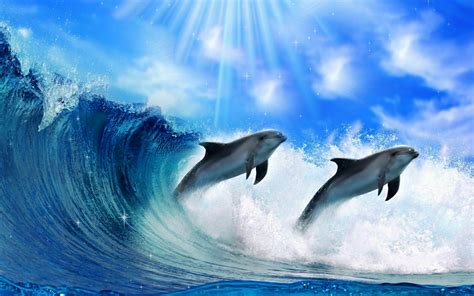 70 Wallpaper Dolphins On Wallpapersafari