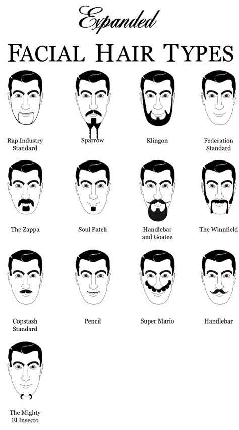 Expanded Facial Hair Types Chart Types Of Facial Hair