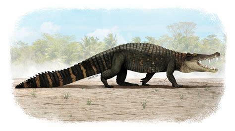 Kaprosuchus Saharicus A Mahajangasuchid Crocodyliform Known From A