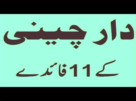 With raw camel milk powder, the brand is going above and beyond in terms of quality and manufacturing processes. Cinnamon Health Benefits || Dalchini Benefits || Hea ...