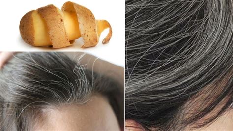 Pour plus d'inspiration et de modèles axés sur la thématique cheveux blancs naturelle, n'hésitez pas à consulter la partie couleur de cheveux pour femme du site. Astuce : Voici comment vous débarrasser des cheveux blancs ...