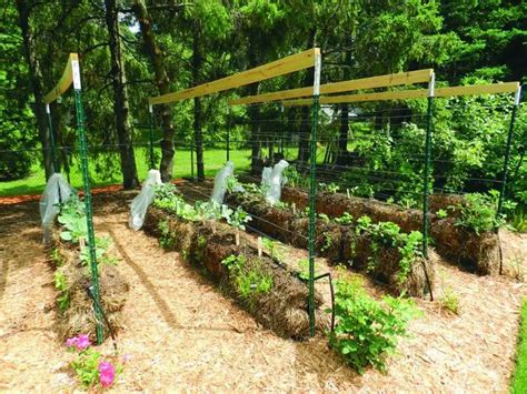 How To Grow A Straw Bale Garden Diy Projects For Everyone