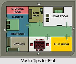 According to vastu shastra, plants which are thorny and milking should be avoided as they are inauspicious. Vastu Tips for a House