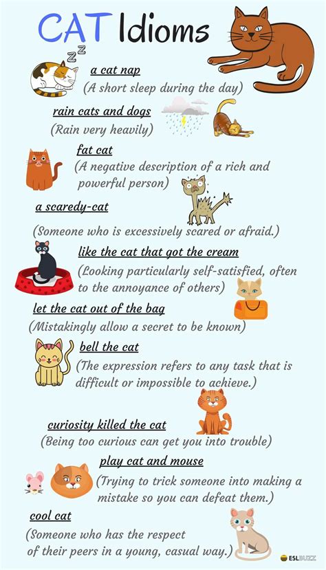 Animal Idioms about CATS and Their Meanings in English - ESLBuzz ...