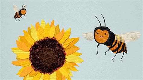 Fun Facts About Bees In TED Ed GIFs