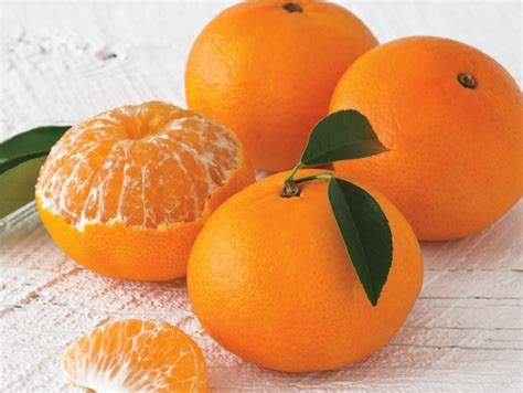 New Regulation On Orange Tangerine Trade Financial Tribune