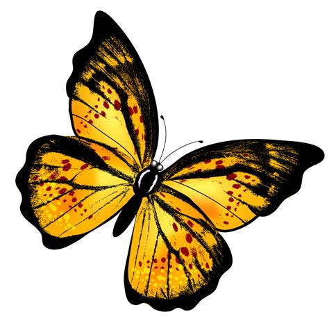 НАХОДЧИВЫЕ РФ КЛИПАРТЫ Желтые бабочки на прозрачном фоне Png скачать