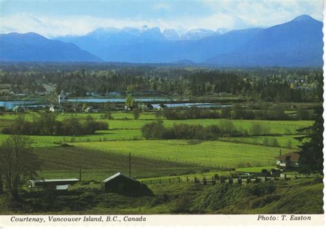 Comox Valley Courtenay Bc Vancouver Island C1982 Vintage Postcard D20