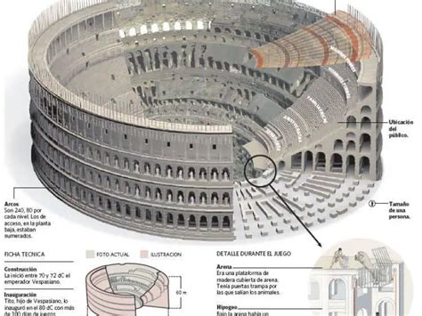 Historia Del Coliseo Romano Uso Y Caracteristicas Arquitectonicas