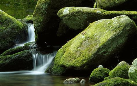 Hd Wallpaper Nature Stream Trees Sand Landscape Forest Rock