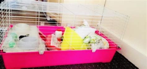 Extra Large Indoor Rabbit Cage In Walthamstow London Gumtree
