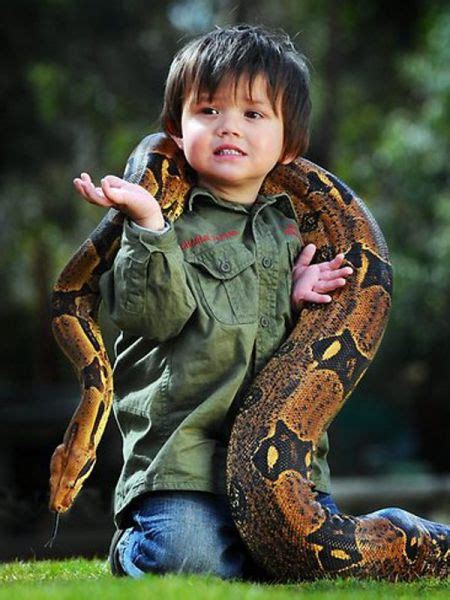 Why is python good for kids? Australian Toddler Is a Real Snake Charmer (11 pics ...
