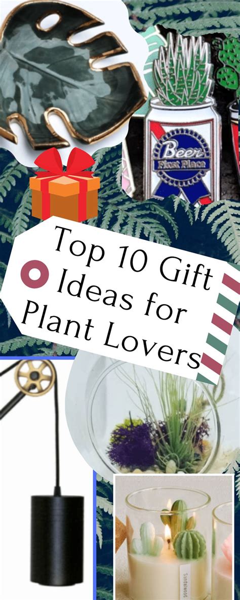 For people who love plants, in their homes and out in nature, there's no better gift than one that complements their hobby. Top 10 Gift Ideas for Plant Lovers (With images) | Plant ...