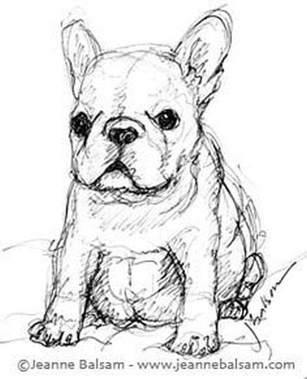 Cute little puppys, baby pupy, puppyes, puppye, baby pupies, cute little puppies, a puppy dog, pupespuppy colouring pages, picture of puppy, coloring puppys, cute cute puppypuupy, cute puppys, cute. French Bulldog Coloring Pages - Part 5