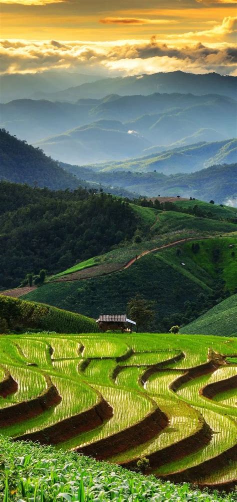 Great Rice Field Banaue Rice Terraces Philippines Built Over 500