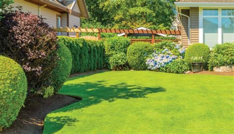 Follow These Simple Steps To Get Lush Green Grass Feed Inspiration