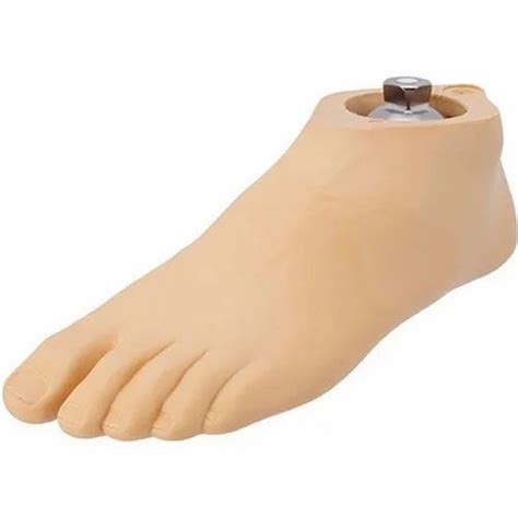 Pu Rubber Prosthetic Foot Shell Below Knee Placement Advanced At Rs
